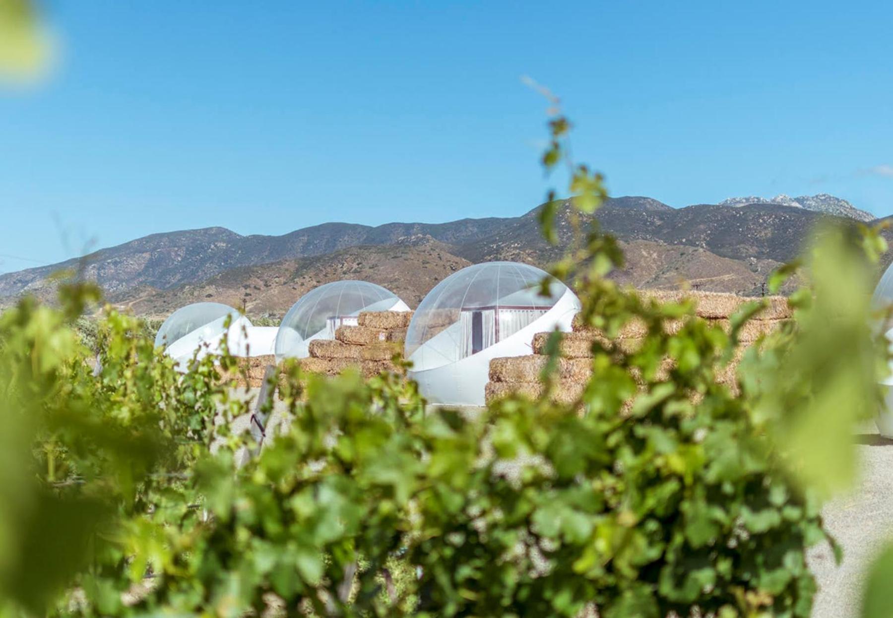 Campera Valle De Guadalupe เอนเซนาดา ภายนอก รูปภาพ