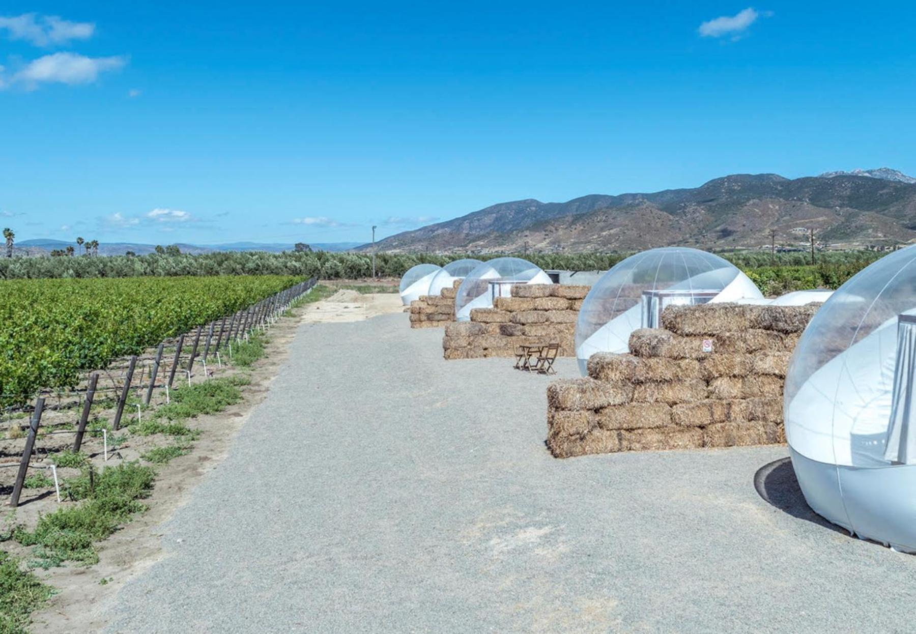 Campera Valle De Guadalupe เอนเซนาดา ภายนอก รูปภาพ