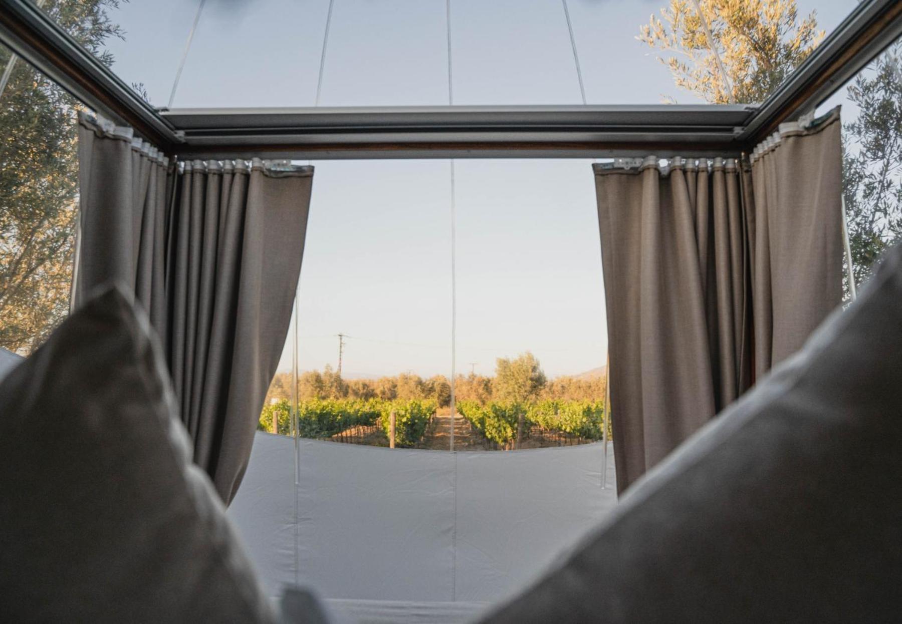 Campera Valle De Guadalupe เอนเซนาดา ภายนอก รูปภาพ